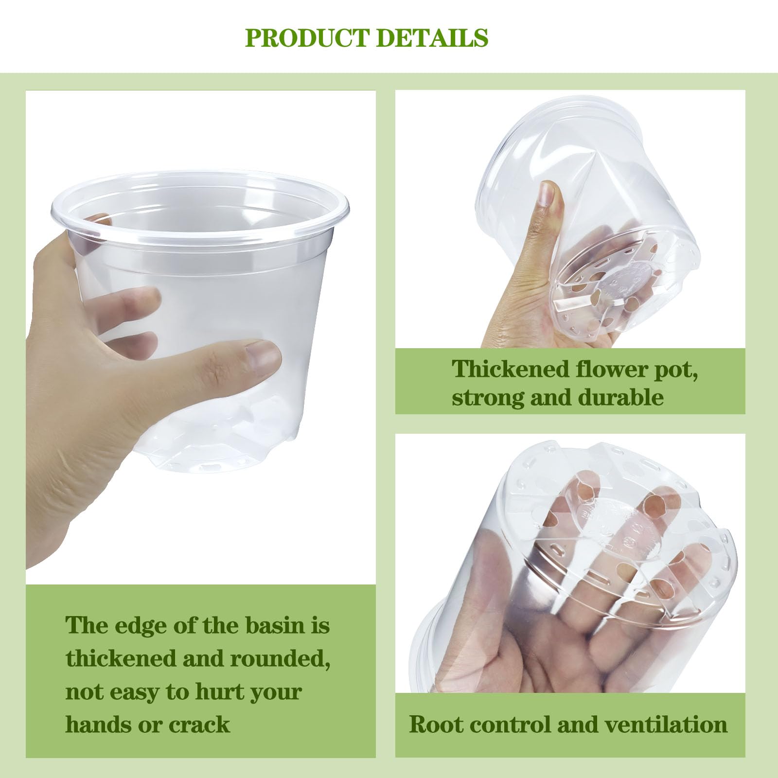 CXIIPOL clear pot 5-inch ideal for succulents and herbs in home gardens.