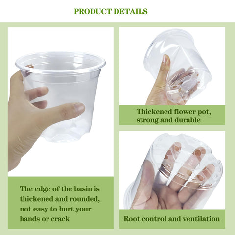 CXIIPOL clear pot 5-inch ideal for succulents and herbs in home gardens.