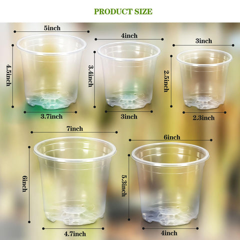 CXIIPOL clear pot 6-inch shows soil visibility for easy plant health checks.