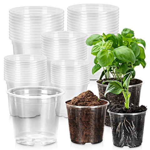 CXIIPOL clear pot 7-inch with drainage holes promotes healthy root growth.