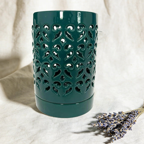 CXYNDFA 4-inch orchid planter ideal size for repotting and healthy roots.