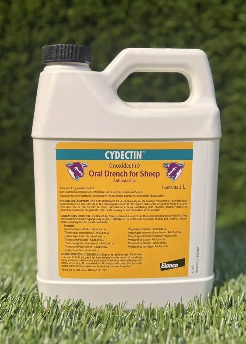 Cydectin Sheep 0.1% Drench in hand, ready for routine treatment.