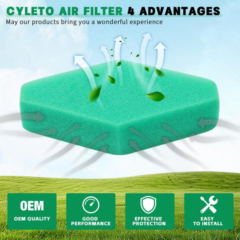 Cyleto 111000-124000-series air filter designed for common lawn mower engines