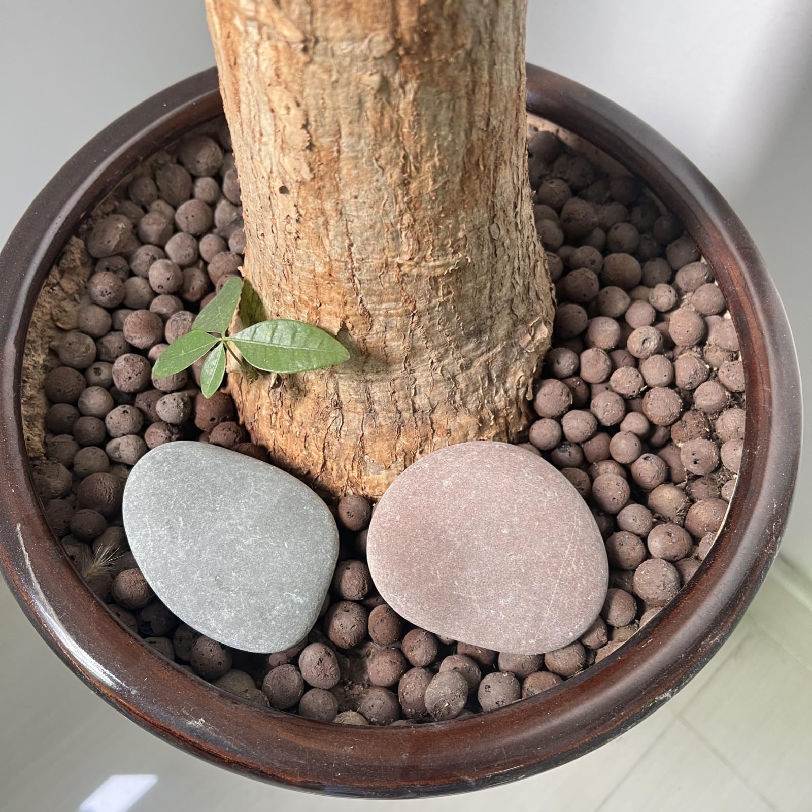 CYLHCM paint-ready rocks easy to paint, acrylics or markers perform well.