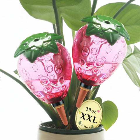 Cynevaris strawberry watering globe adds decorative root hydration for potted plants.