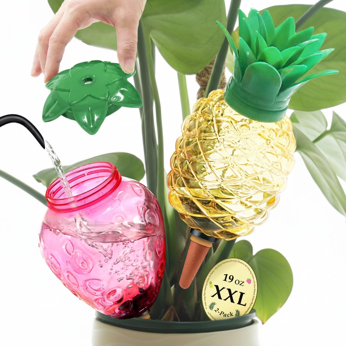 Cynevaris watering globes pineapple design deliver steady root moisture for thriving indoor plants