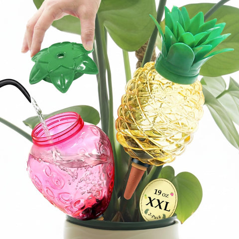 Cynevaris watering globes pineapple design deliver steady root moisture for thriving indoor plants