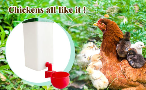 Cyrading BPA-free PP 1L dispenser survives weather and daily use.