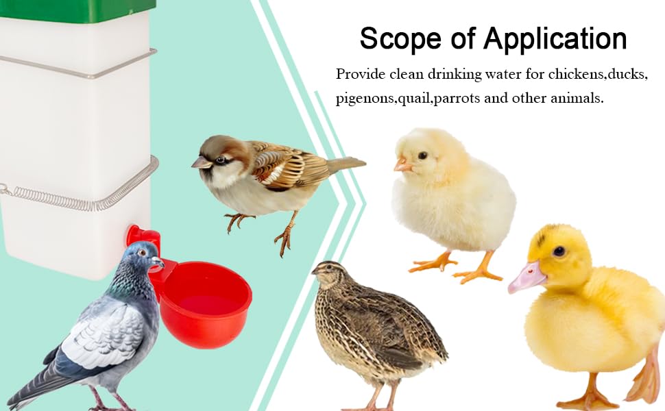 Cyrading gravity-fed drinking cups promote natural drinking behavior.