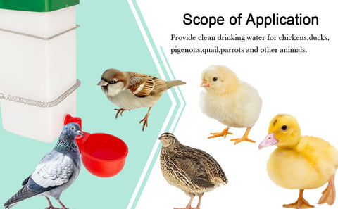 Cyrading gravity-fed drinking cups promote natural drinking behavior.