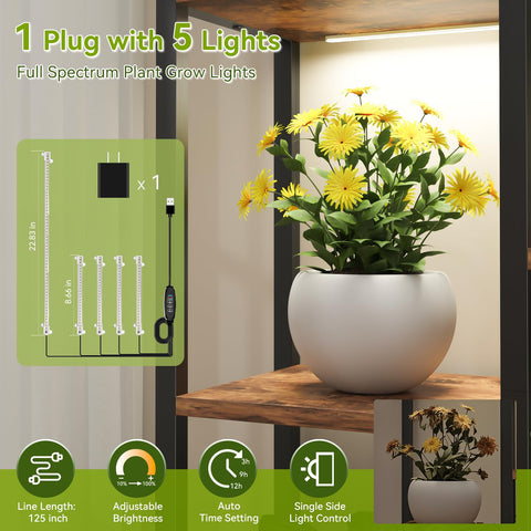 CYXPHION C2 tall plant display stand at 70-87 inches for vertical gardening