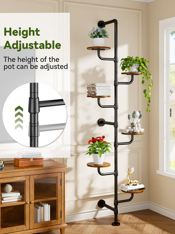 CYXPHION C5 adjustable shelf spacing accommodates different plant heights.