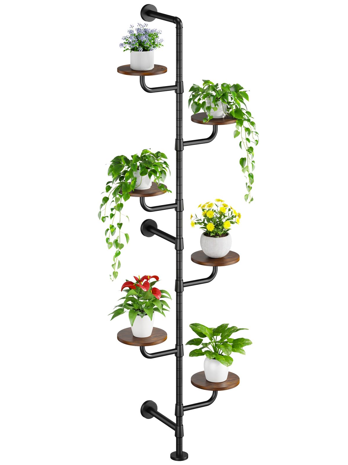 CYXPHION C5 plant stand by the window maximizes sunlight exposure.