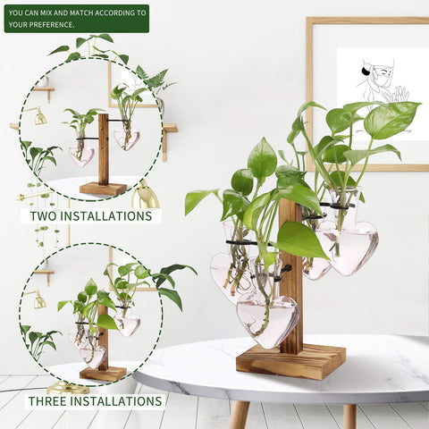 CYZglass gift for women suits Valentines or Mother's Day with stylish plant display.