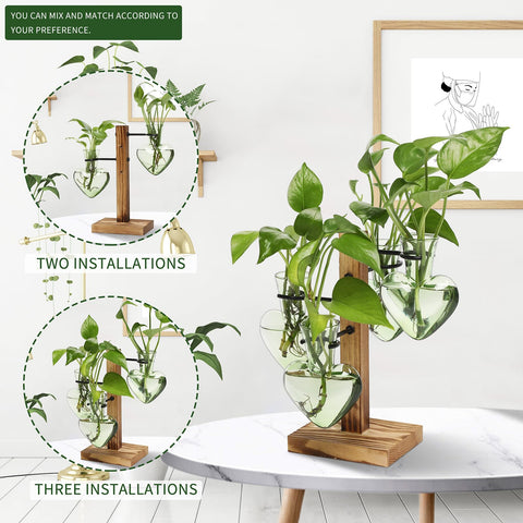 CYZglass gift idea for women featuring the terrarium vase