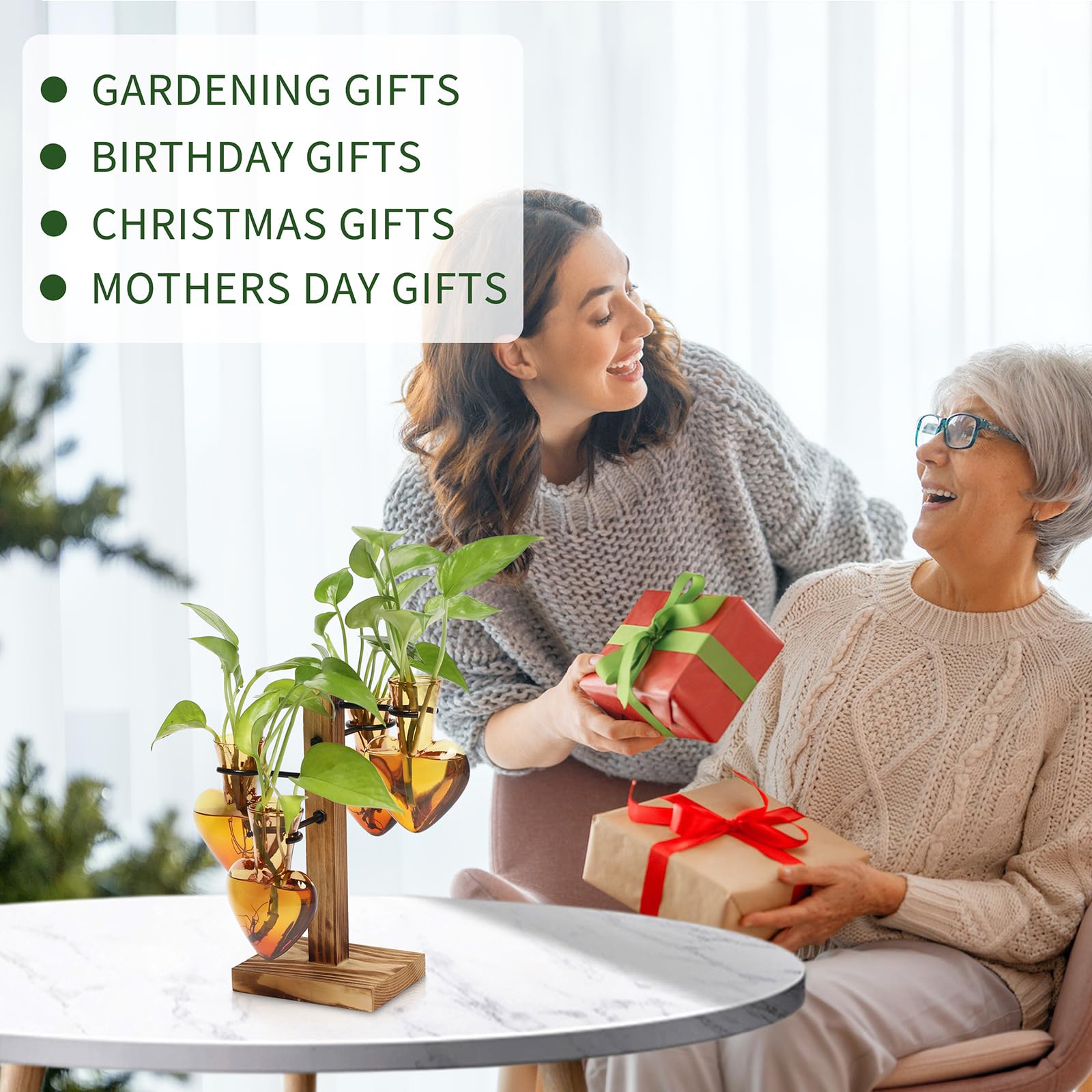 CYZglass gift packaging plant station suitable for plant lovers