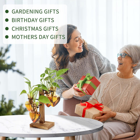 CYZglass gift packaging plant station suitable for plant lovers