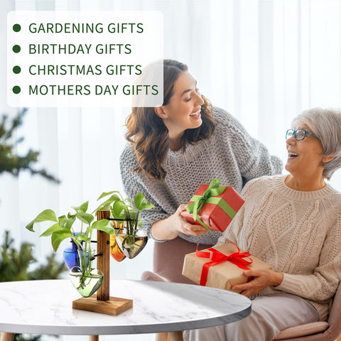 CYZglass gift-ready packaging makes a thoughtful present for plant lovers.