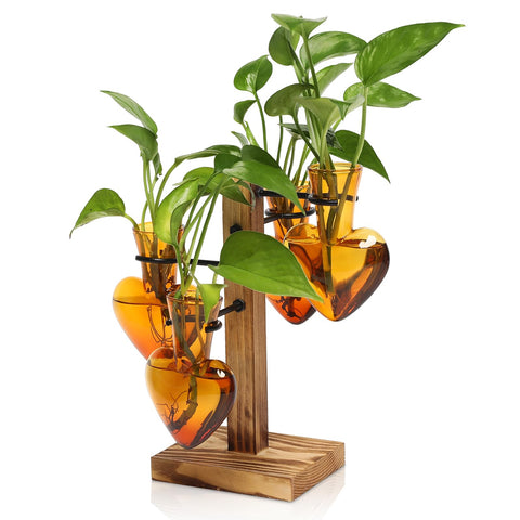 CYZglass Love Bulb Vase Terrarium for indoor hydroponics and display