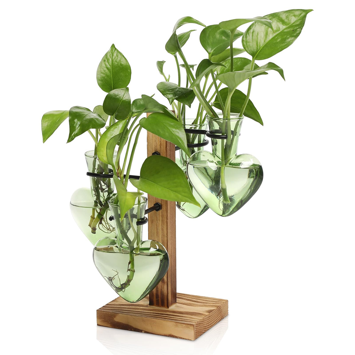 CYZglass 4 love bulb vase on wooden stand in front view for indoor display