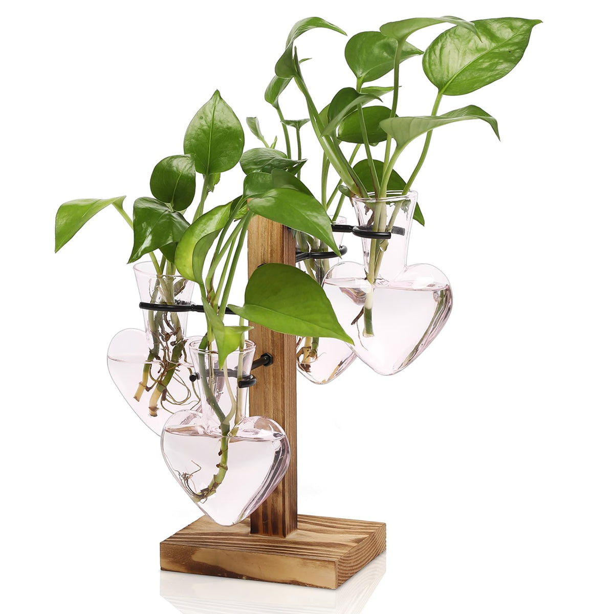CYZglass Love Bulb Vase on a wooden stand enhances desk hydroponics and light-filled decor.
