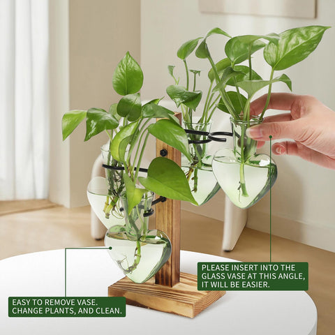 CYZglass propagation station with four C shaped hangers ready for herbs