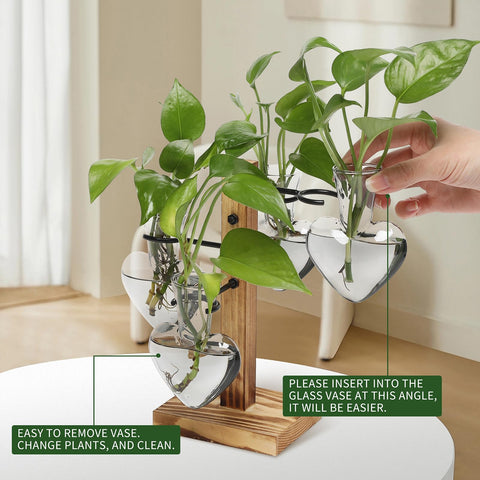CYZglass propagation station with four hangers emphasizes organized plant display.