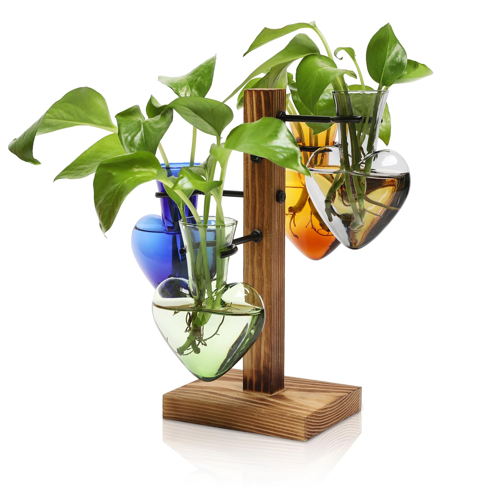 CYZglass propagation station on wooden stand enhances chic indoor gardening.
