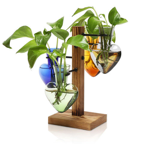CYZglass propagation station on wooden stand enhances chic indoor gardening.