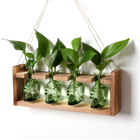 CYZglass skull propagation station with glass vases for easy plant observation