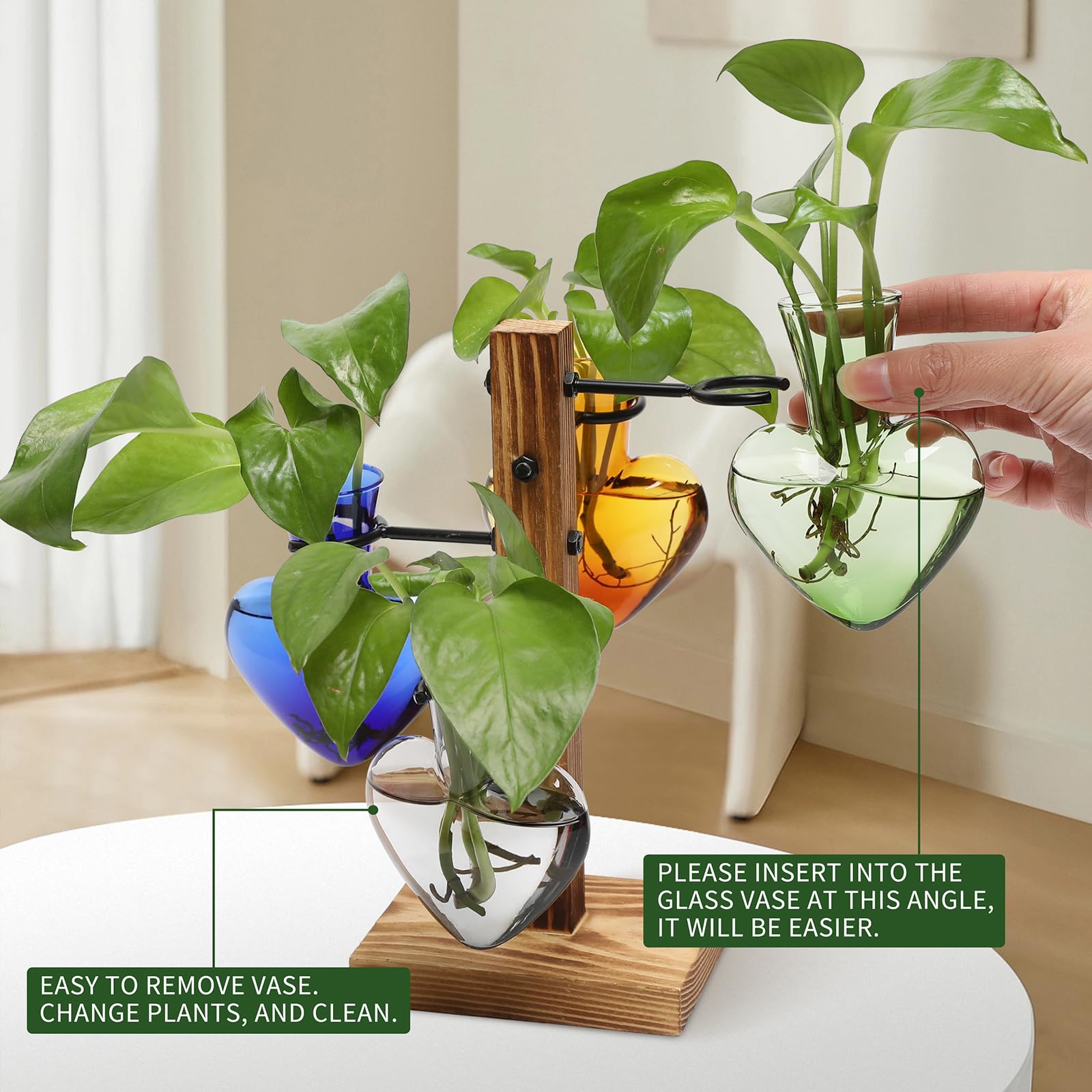 CYZglass four C-shaped hangers enable adjustable, secure plant displays.