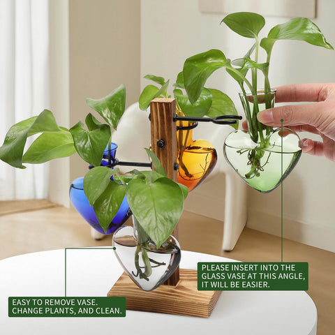 CYZglass four C-shaped hangers enable adjustable, secure plant displays.