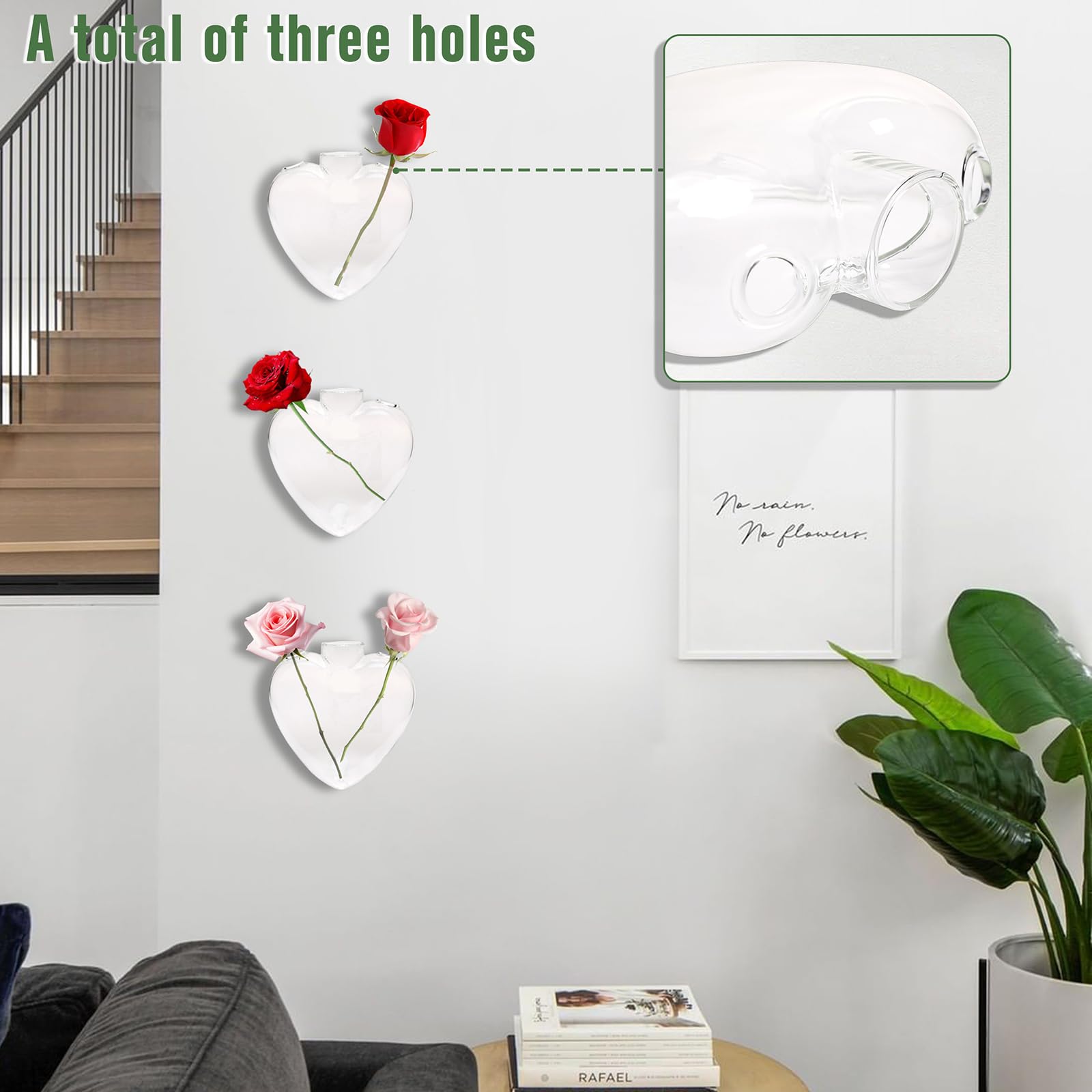 CYZglass wall-hanging planter bathroom display emphasizes compact air plant vibe