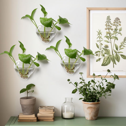 CYZglass wall-hanging planter nail-hook installation demonstrates easy wall mounting