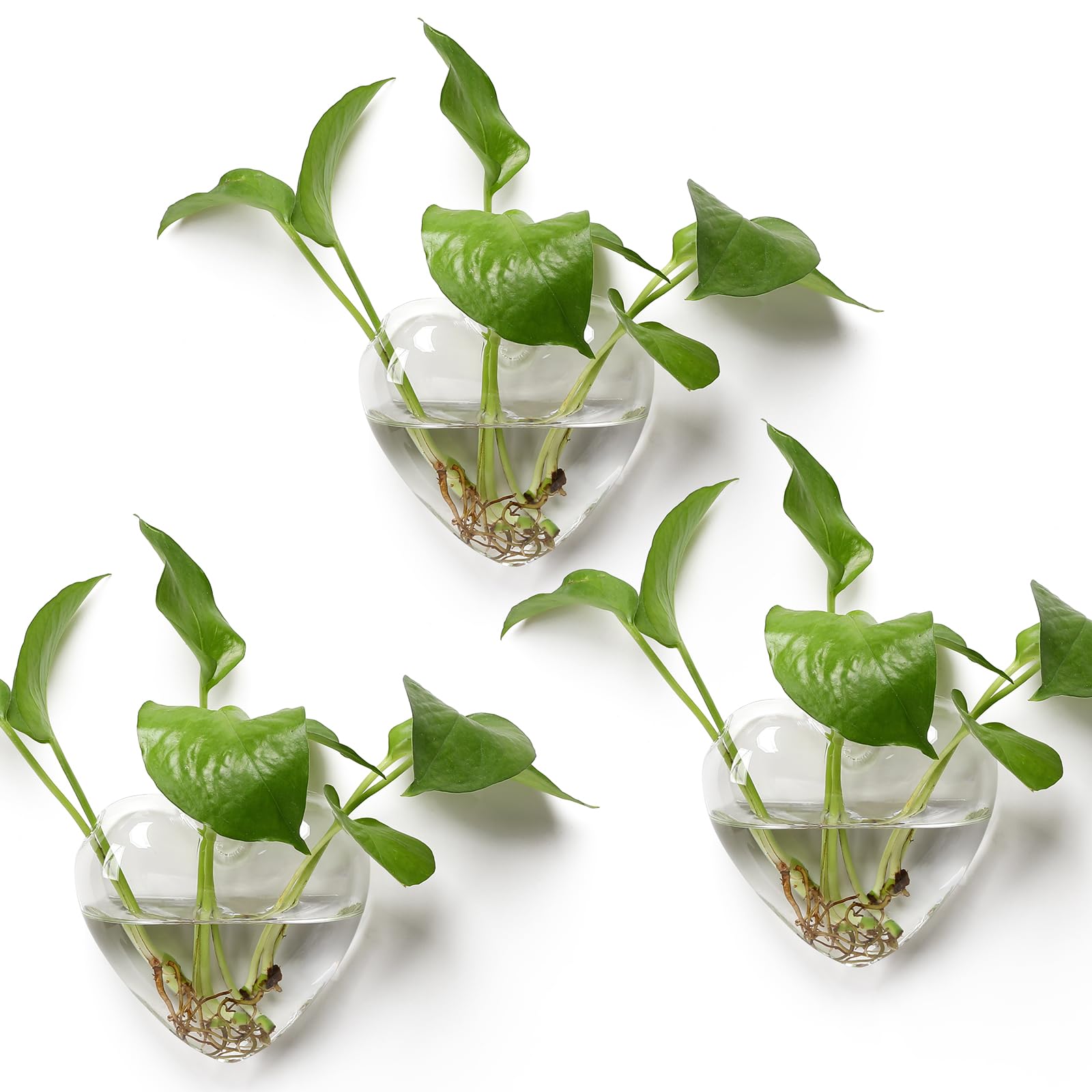 CYZglass wall-hanging planter oval bottle front view for space-saving indoor greenery