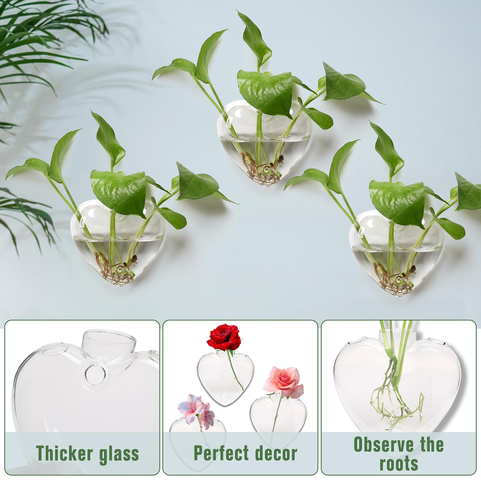 CYZglass wall-hanging planter oval bottle top-hole close-up highlighting plant insertion