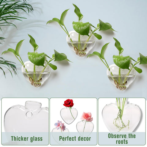 CYZglass wall-hanging planter oval bottle top-hole close-up highlighting plant insertion
