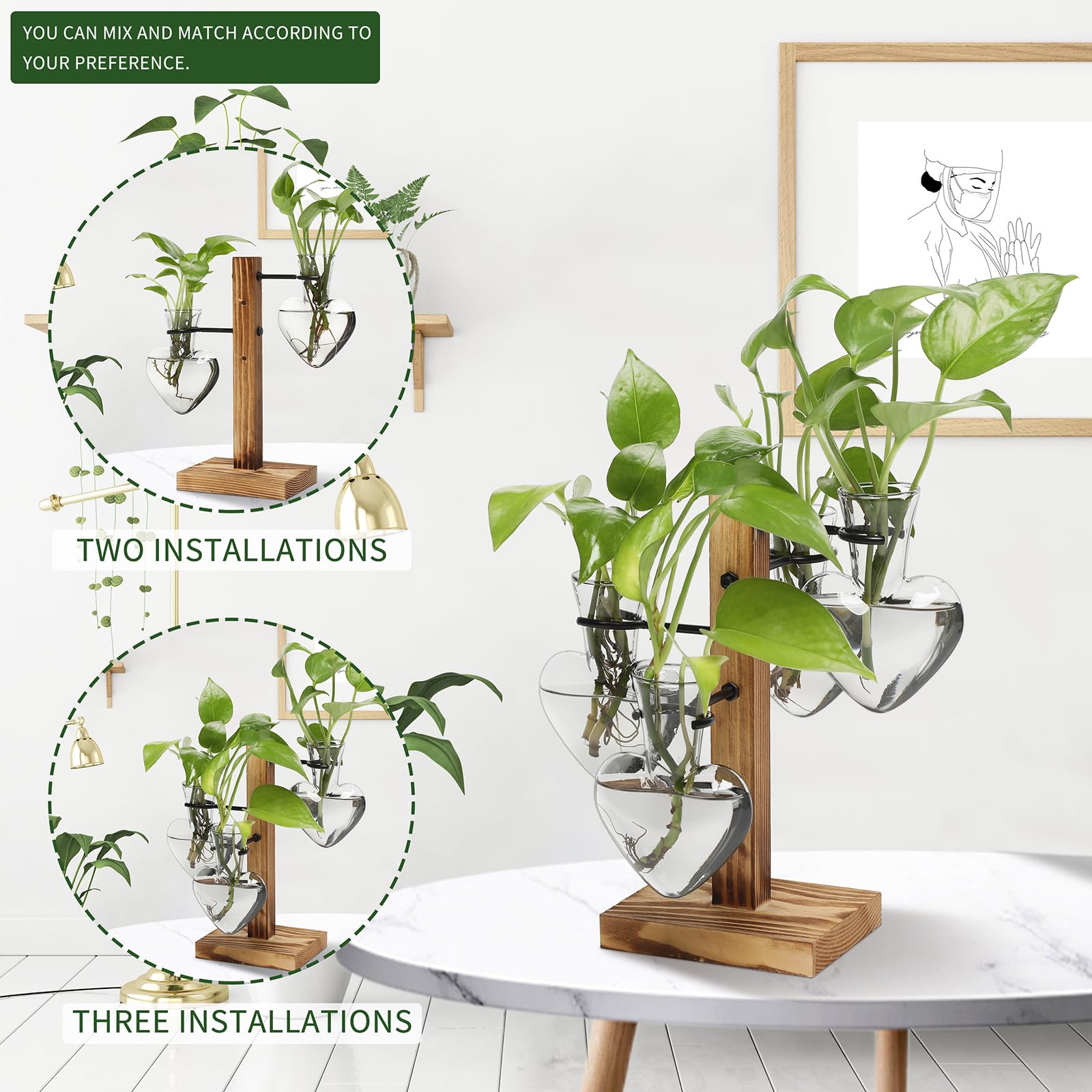 CYZglass windowsill display for propagation serves as a bright centerpiece.