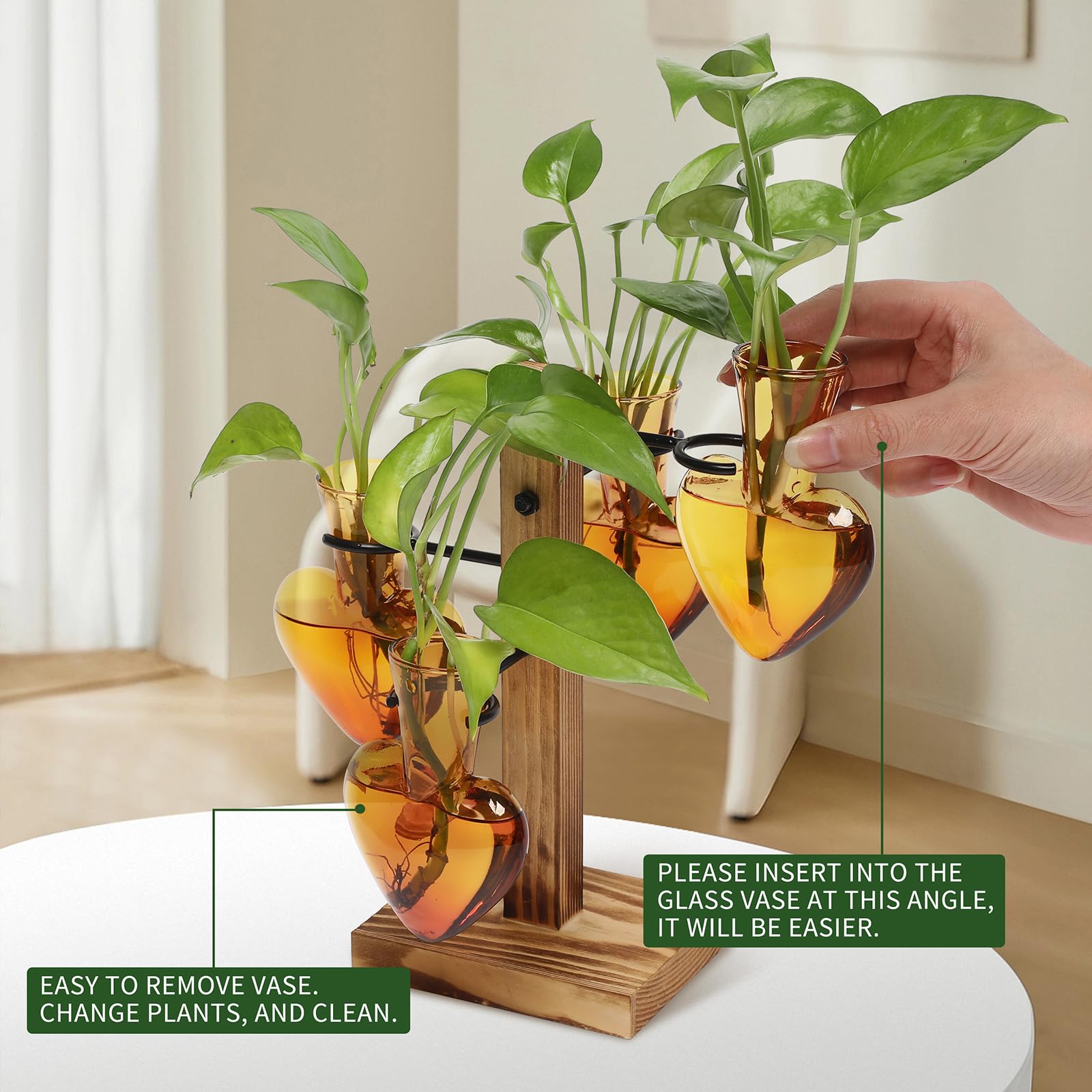 CYZglass wooden stand propagation station with natural contrast
