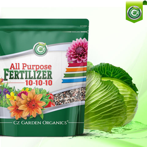 Cz Garden Supply indoor plants showing healthy growth.