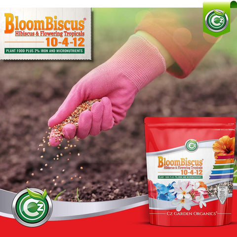 BloomBiscus supports flowering tropicals like Ixora and Heliconia
