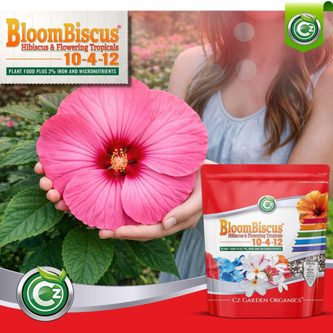 BloomBiscus iron and micronutrients support lush foliage