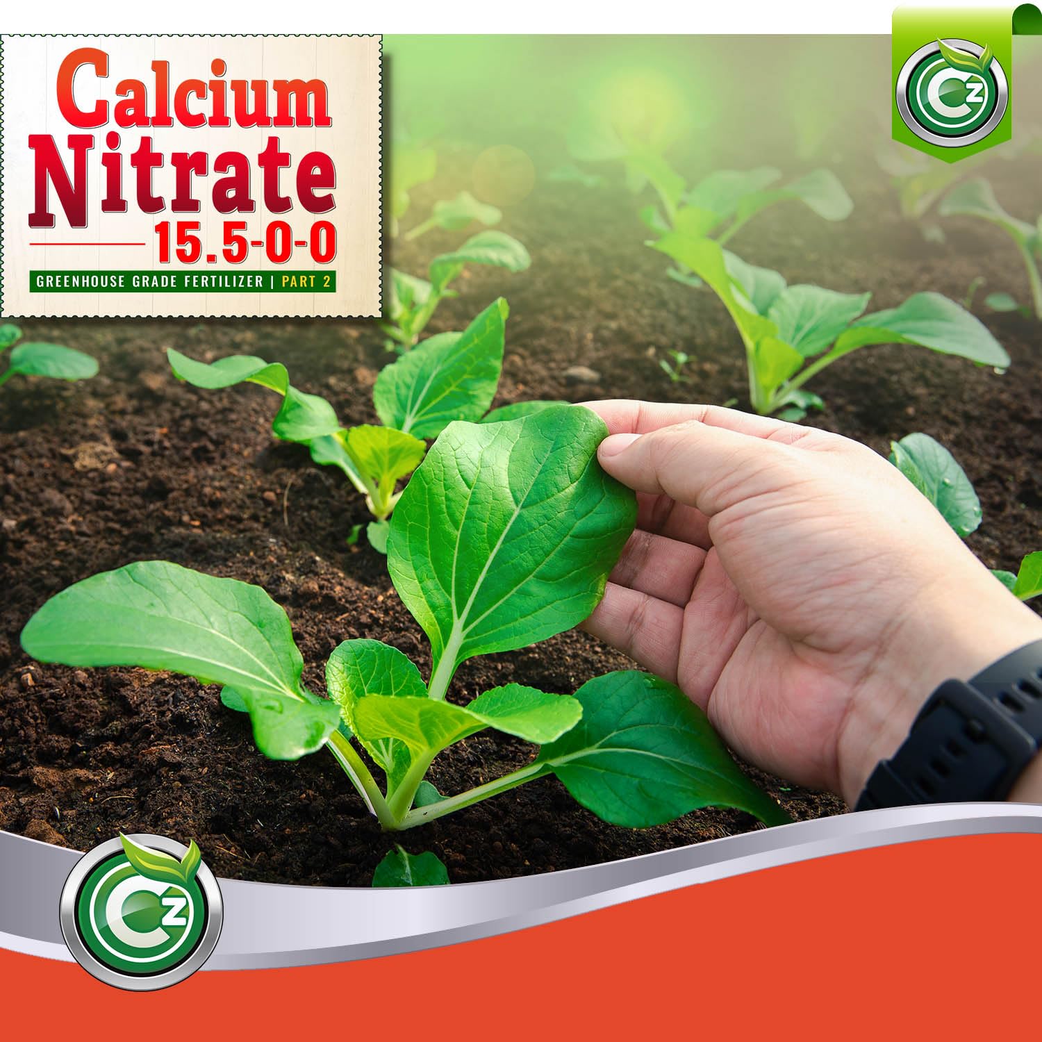 Cz Garden Calcium Nitrate on foliage showing lush green growth