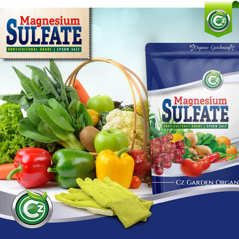 Cz Garden magnesium sulfate used in drip irrigation promotes even nourishment.