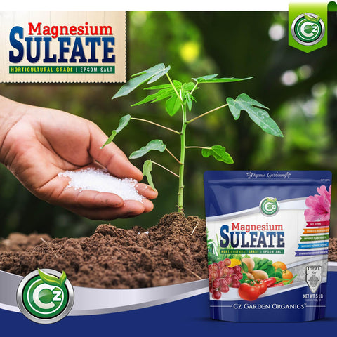 Cz Garden epsom salt pouring demonstrates easy measurement and quick solution mixing.
