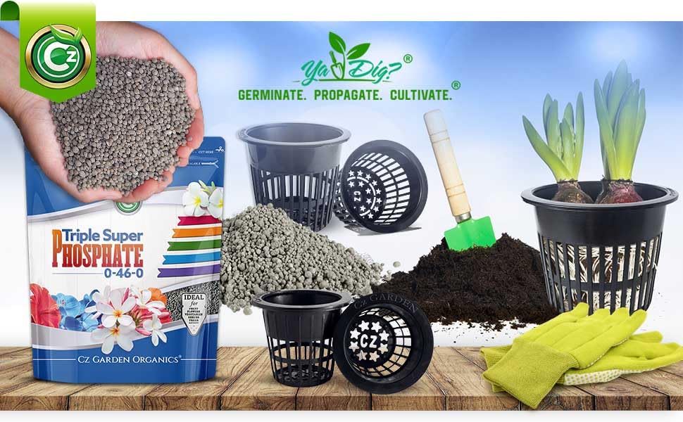 Cz Garden garden-bed bloom-boost visualization with vibrant flowers after application.