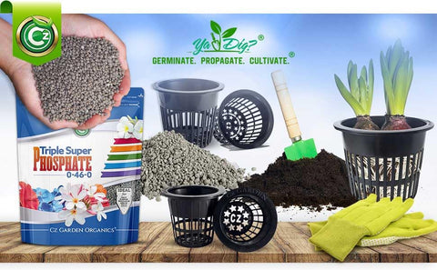 Cz Garden garden-bed bloom-boost visualization with vibrant flowers after application.