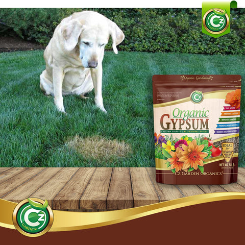 Cz Garden Gypsum Granules used in tomato and rose beds for plant support.