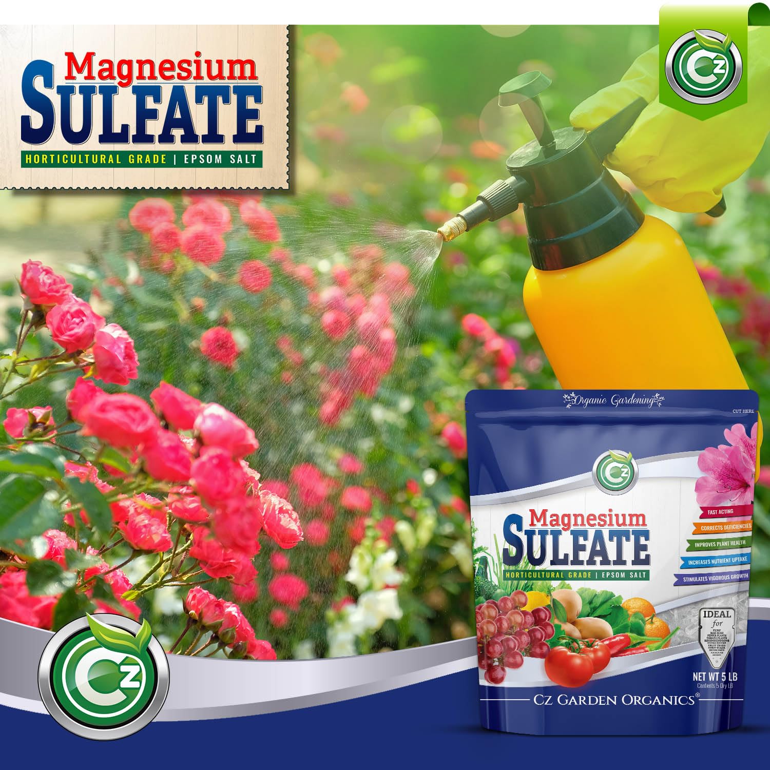 Cz Garden hydroponics setup shows epsom salt used in water-based feeding.