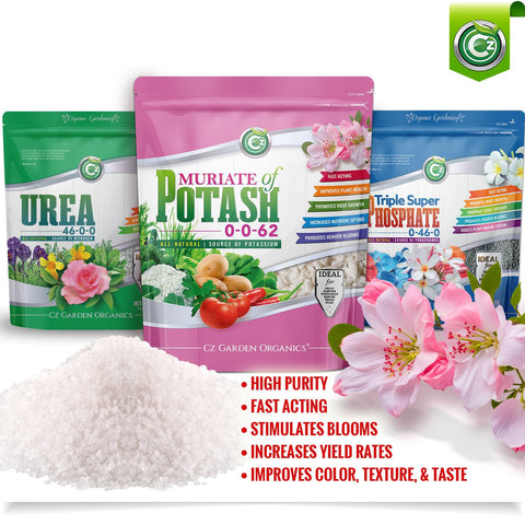 Muriate of Potash dissolving in water for even root uptake